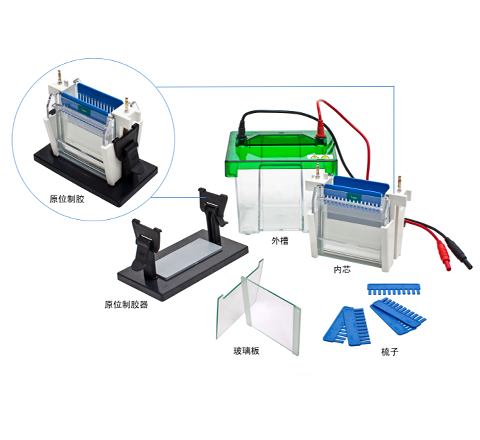 垂直电泳槽JY-SCZ2+型