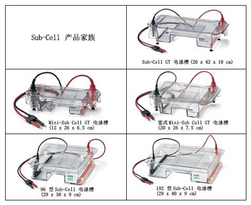 伯乐Sub-Cell系统