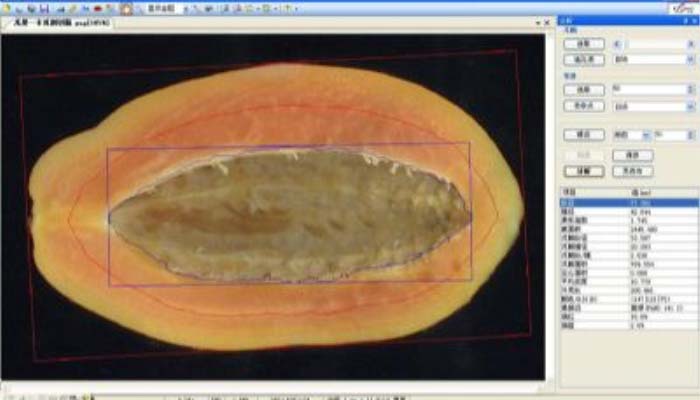 LA-S瓜果剖切面、瓤色图像分析仪系统